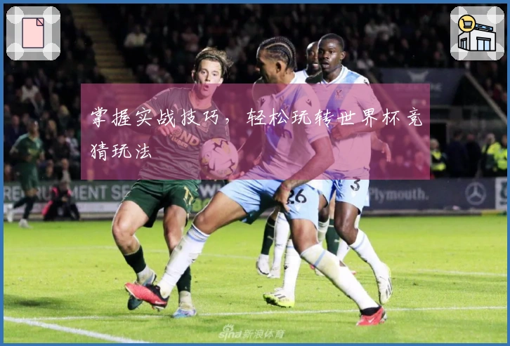 掌握实战技巧，轻松玩转世界杯竞猜玩法