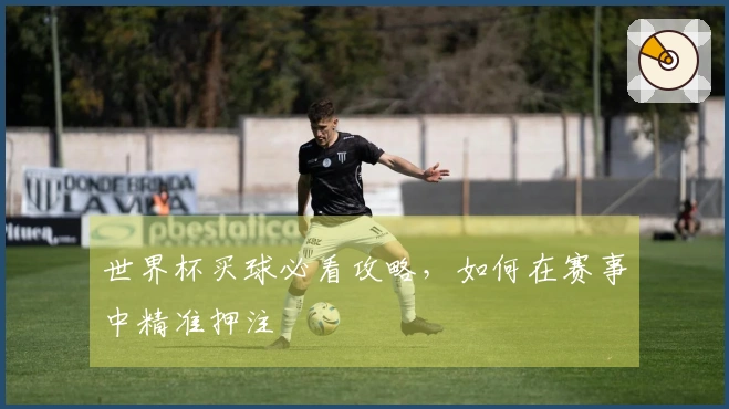世界杯买球必看攻略，如何在赛事中精准押注