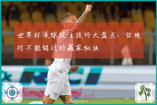 世界杯滚球投注技巧大盘点，你绝对不能错过的赢家秘诀