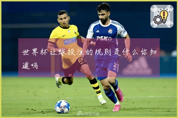 世界杯让球投注的规则是什么你知道吗