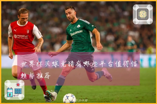 世界杯买球竞猜有哪些平台值得信赖与推荐