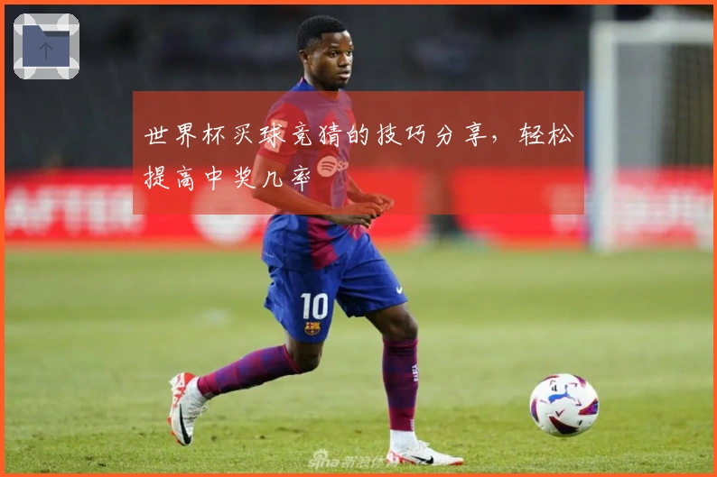世界杯买球竞猜的技巧分享，轻松提高中奖几率