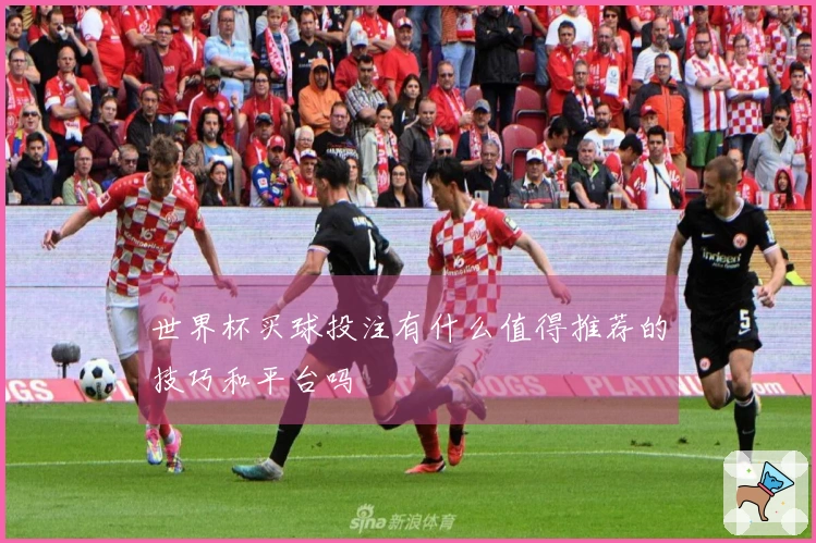 世界杯买球投注有什么值得推荐的技巧和平台吗