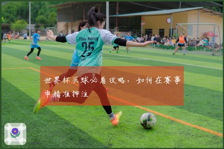 世界杯买球必看攻略，如何在赛事中精准押注