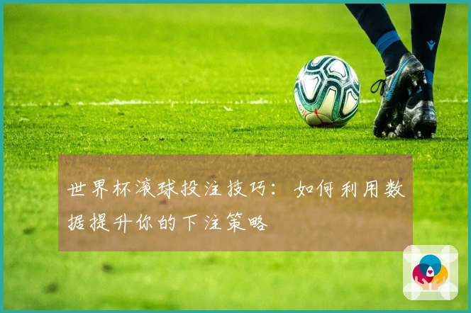 世界杯滚球投注技巧：如何利用数据提升你的下注策略