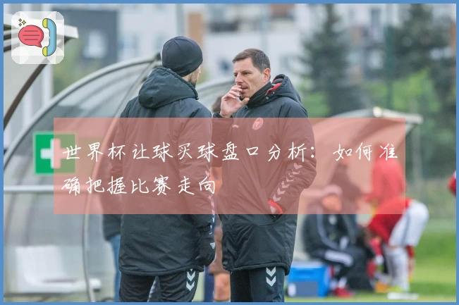 世界杯让球买球盘口分析：如何准确把握比赛走向