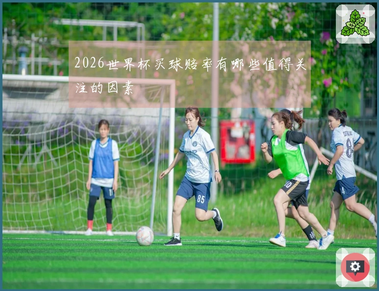 2026世界杯买球赔率有哪些值得关注的因素