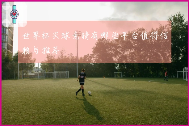世界杯买球竞猜有哪些平台值得信赖与推荐